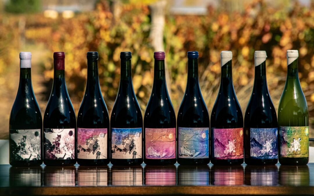 Presente Vinos: identidad, legado y una nueva forma de contar el vino
